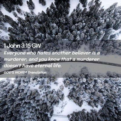 Picture 02 - 1 John 3:15 GW - Everyone who hates another believer is a - Bible Verse Picture