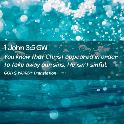 Picture 02 - 1 John 3:5 GW - You know that Christ appeared in order to take - Bible Verse Picture