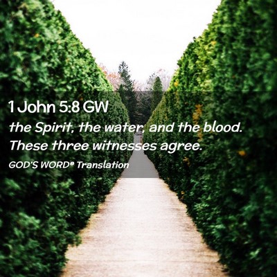 Picture 02 - 1 John 5:8 GW - the Spirit, the water, and the blood. These three - Bible Verse Picture