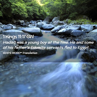 Picture 02 - 1 Kings 11:17 GW - Hadad was a young boy at the time. He and some of - Bible Verse Picture