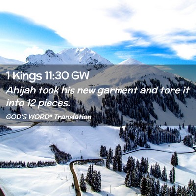 Picture 02 - 1 Kings 11:30 GW - Ahijah took his new garment and tore it into 12 - Bible Verse Picture