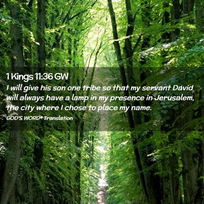 Picture 02 - 1 Kings 11:36 GW - I will give his son one tribe so that my servant - Bible Verse Picture