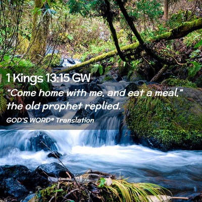 Picture 02 - 1 Kings 13:15 GW - “Come home with me, and eat a meal,” the old - Bible Verse Picture