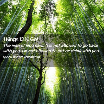 Picture 02 - 1 Kings 13:16 GW - The man of God said, “I’m not allowed to go - Bible Verse Picture
