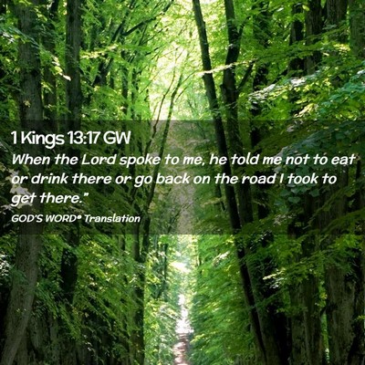 Picture 02 - 1 Kings 13:17 GW - When the Lord spoke to me, he told me not to eat - Bible Verse Picture