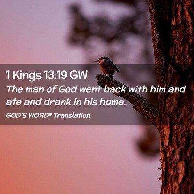 Picture 02 - 1 Kings 13:19 GW - The man of God went back with him and ate and - Bible Verse Picture