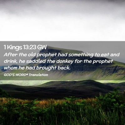 Picture 02 - 1 Kings 13:23 GW - After the old prophet had something to eat and - Bible Verse Picture