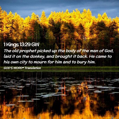 Picture 02 - 1 Kings 13:29 GW - The old prophet picked up the body of the man of - Bible Verse Picture