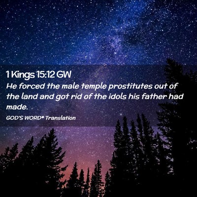 Picture 02 - 1 Kings 15:12 GW - He forced the male temple prostitutes out of the - Bible Verse Picture