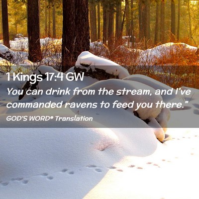 Picture 02 - 1 Kings 17:4 GW - You can drink from the stream, and I’ve - Bible Verse Picture