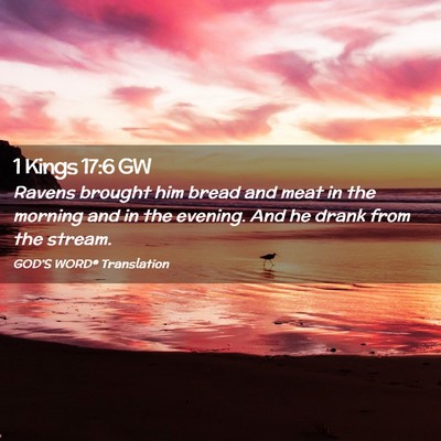 Picture 02 - 1 Kings 17:6 GW - Ravens brought him bread and meat in the morning - Bible Verse Picture