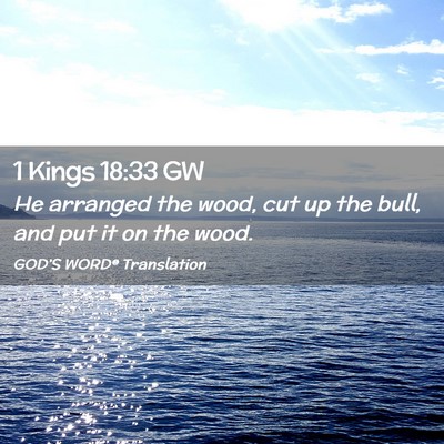 Picture 02 - 1 Kings 18:33 GW - He arranged the wood, cut up the bull, and put it - Bible Verse Picture