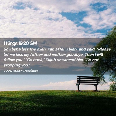 Picture 02 - 1 Kings 19:20 GW - So Elisha left the oxen, ran after Elijah, and - Bible Verse Picture