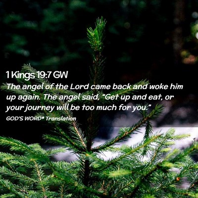 Picture 02 - 1 Kings 19:7 GW - The angel of the Lord came back and woke him up - Bible Verse Picture