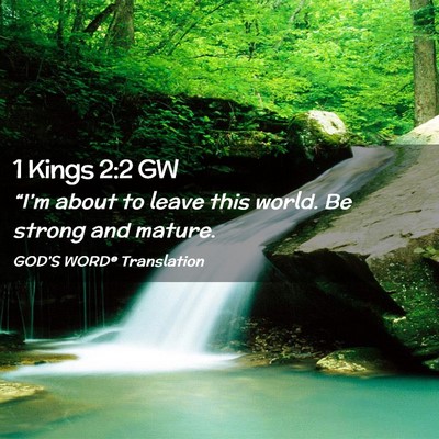 Picture 02 - 1 Kings 2:2 GW - “I’m about to leave this world. Be strong and - Bible Verse Picture