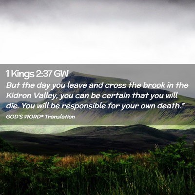 Picture 02 - 1 Kings 2:37 GW - But the day you leave and cross the brook in the - Bible Verse Picture