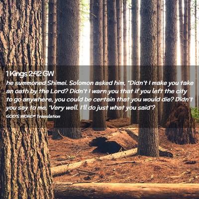 Picture 02 - 1 Kings 2:42 GW - he summoned Shimei. Solomon asked him, - Bible Verse Picture