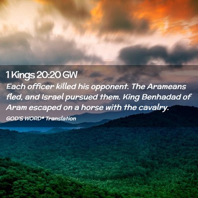 Picture 02 - 1 Kings 20:20 GW - Each officer killed his opponent. The Arameans - Bible Verse Picture