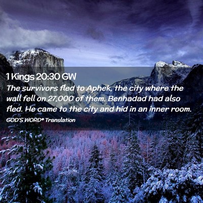 Picture 02 - 1 Kings 20:30 GW - The survivors fled to Aphek, the city where the - Bible Verse Picture