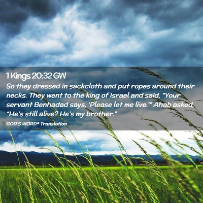 Picture 02 - 1 Kings 20:32 GW - So they dressed in sackcloth and put ropes around - Bible Verse Picture