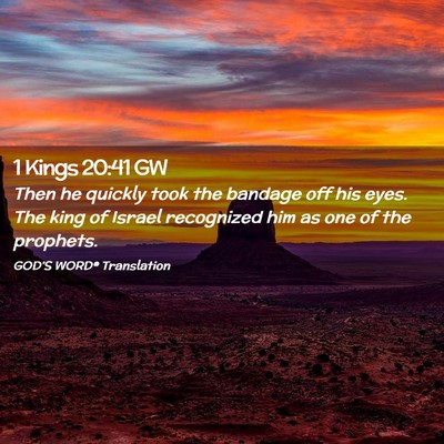 Picture 02 - 1 Kings 20:41 GW - Then he quickly took the bandage off his eyes. - Bible Verse Picture