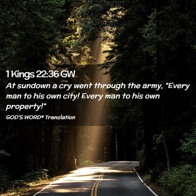 Picture 02 - 1 Kings 22:36 GW - At sundown a cry went through the army, “Every - Bible Verse Picture