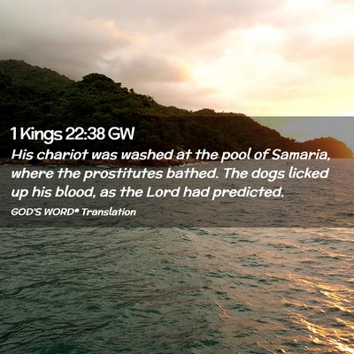 Picture 02 - 1 Kings 22:38 GW - His chariot was washed at the pool of Samaria, - Bible Verse Picture
