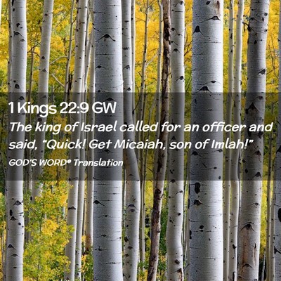 Picture 02 - 1 Kings 22:9 GW - The king of Israel called for an officer and - Bible Verse Picture