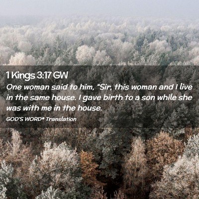 Picture 02 - 1 Kings 3:17 GW - One woman said to him, “Sir, this woman and I - Bible Verse Picture