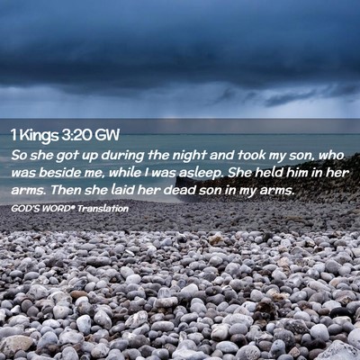 Picture 02 - 1 Kings 3:20 GW - So she got up during the night and took my son, - Bible Verse Picture
