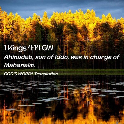 Picture 02 - 1 Kings 4:14 GW - Ahinadab, son of Iddo, was in charge of - Bible Verse Picture