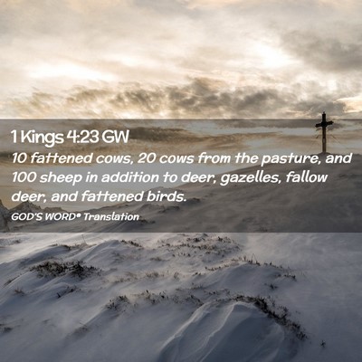 Picture 02 - 1 Kings 4:23 GW - 10 fattened cows, 20 cows from the pasture, and - Bible Verse Picture