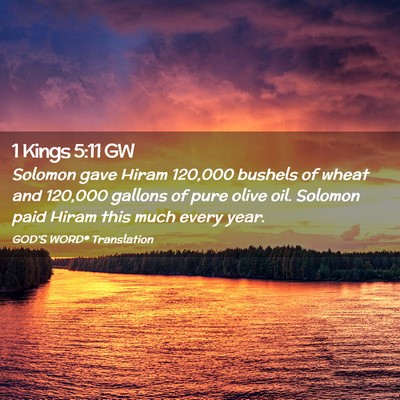 Picture 02 - 1 Kings 5:11 GW - Solomon gave Hiram 120,000 bushels of wheat and - Bible Verse Picture