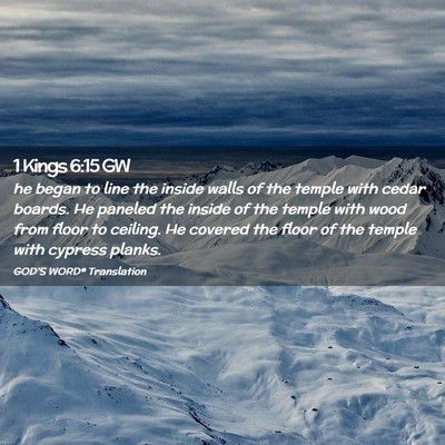 Picture 02 - 1 Kings 6:15 GW - he began to line the inside walls of the temple - Bible Verse Picture