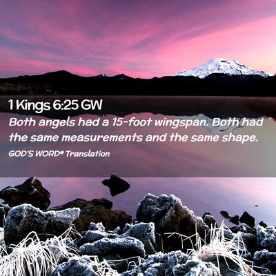 Picture 02 - 1 Kings 6:25 GW - Both angels had a 15-foot wingspan. Both had the - Bible Verse Picture