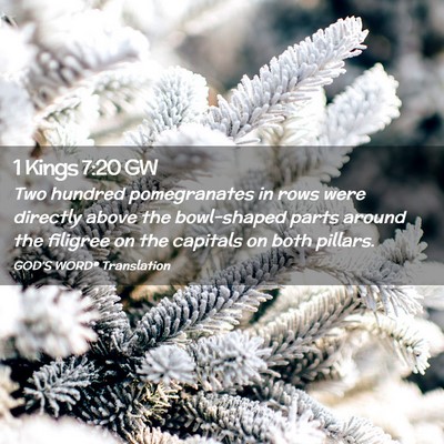 Picture 02 - 1 Kings 7:20 GW - Two hundred pomegranates in rows were directly - Bible Verse Picture