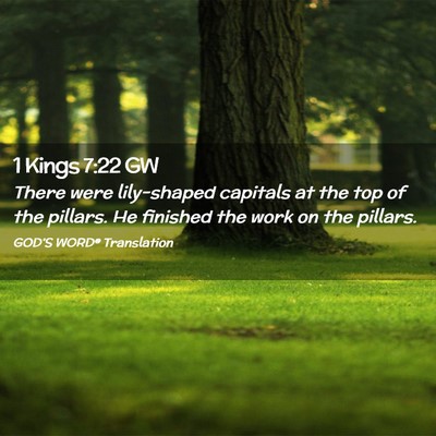 Picture 02 - 1 Kings 7:22 GW - There were lily-shaped capitals at the top of the - Bible Verse Picture