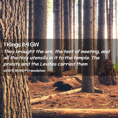 Picture 02 - 1 Kings 8:4 GW - They brought the ark, the tent of meeting, and - Bible Verse Picture