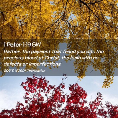 Picture 02 - 1 Peter 1:19 GW - Rather, the payment that freed you was the - Bible Verse Picture