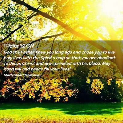 Picture 02 - 1 Peter 1:2 GW - God the Father knew you long ago and chose you to - Bible Verse Picture