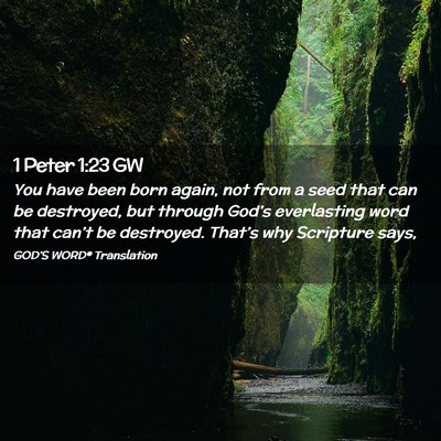 Picture 02 - 1 Peter 1:23 GW - You have been born again, not from a seed that - Bible Verse Picture