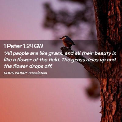 Picture 02 - 1 Peter 1:24 GW - “All people are like grass, and all their - Bible Verse Picture