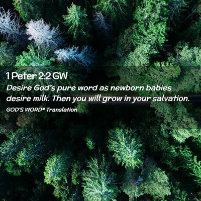 Picture 02 - 1 Peter 2:2 GW - Desire God’s pure word as newborn babies desire - Bible Verse Picture