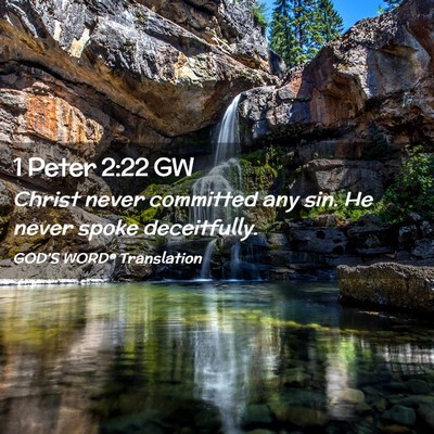 Picture 02 - 1 Peter 2:22 GW - Christ never committed any sin. He never spoke - Bible Verse Picture