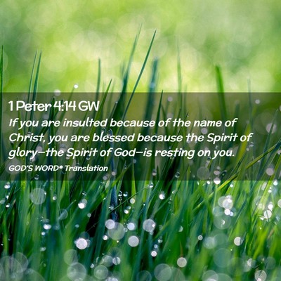 Picture 02 - 1 Peter 4:14 GW - If you are insulted because of the name of - Bible Verse Picture