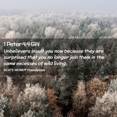 Picture 02 - 1 Peter 4:4 GW - Unbelievers insult you now because they are - Bible Verse Picture