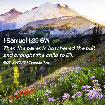 Picture 02 - 1 Samuel 1:25 GW - Then the parents butchered the bull and brought - Bible Verse Picture