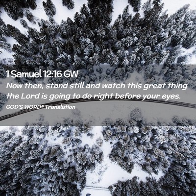 Picture 02 - 1 Samuel 12:16 GW - Now then, stand still and watch this great thing - Bible Verse Picture