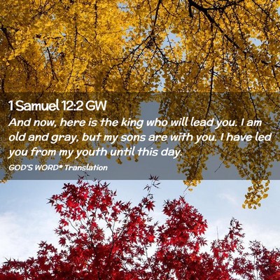 Picture 02 - 1 Samuel 12:2 GW - And now, here is the king who will lead you. I am - Bible Verse Picture