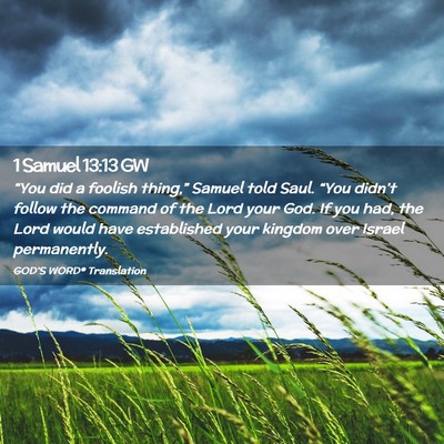 Picture 02 - 1 Samuel 13:13 GW - “You did a foolish thing,” Samuel told Saul. - Bible Verse Picture